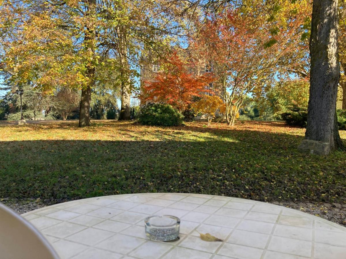 Orangerie Du Chateau Marith - Domaine Avec Piscine Clairac  Oda fotoğraf